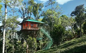 Dream Catcher Plantation Resort