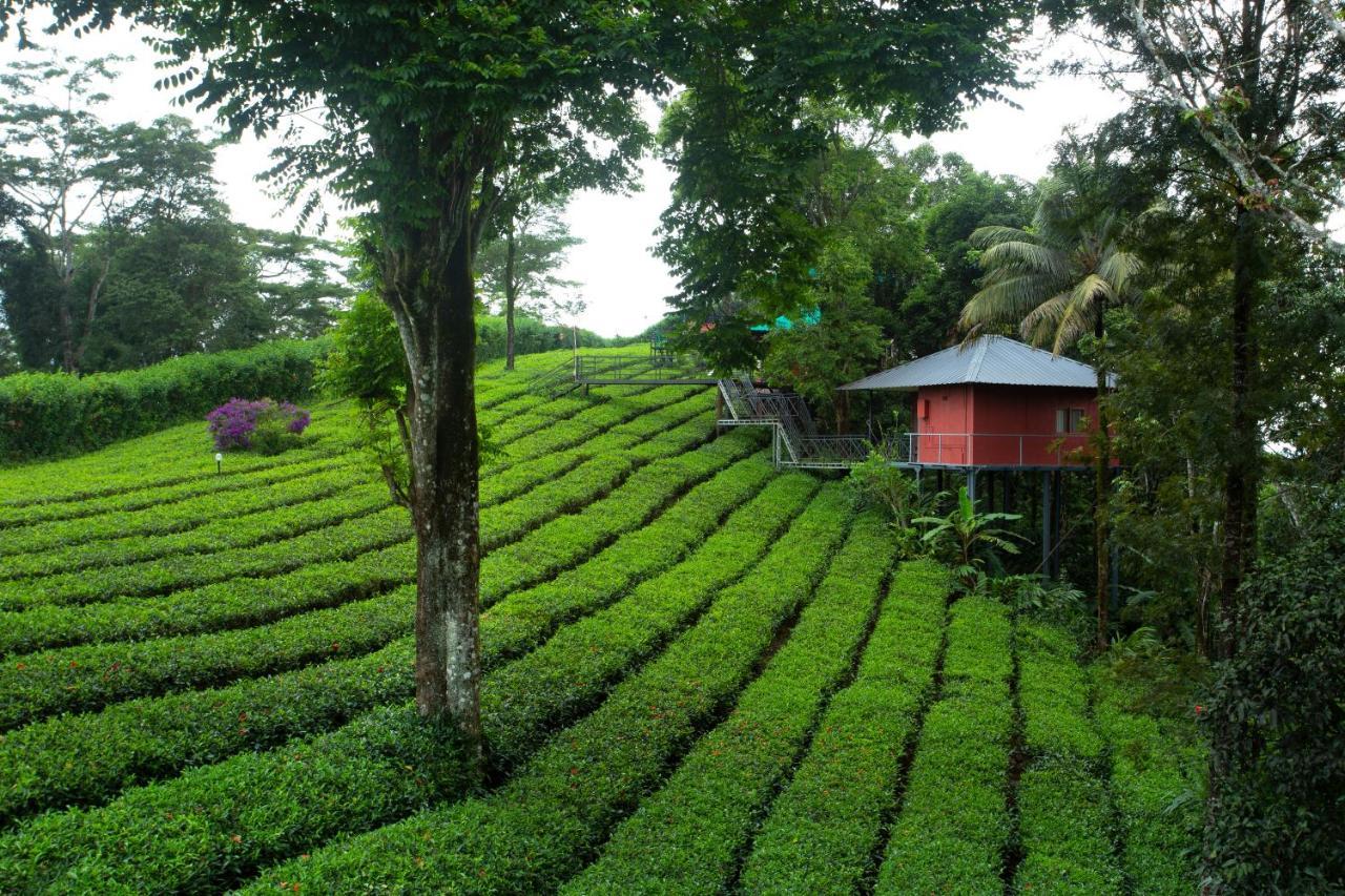Dream Catcher Plantation Resort Munnar Exterior photo
