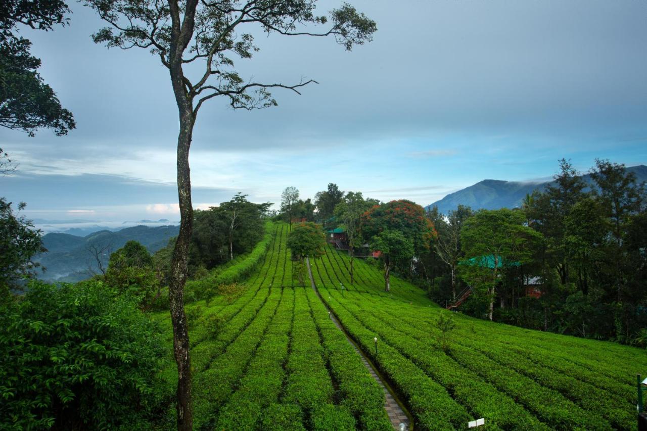Dream Catcher Plantation Resort Munnar Exterior photo