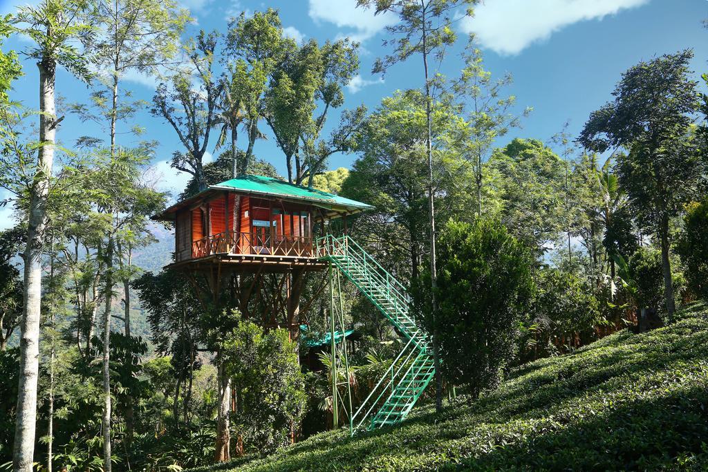 Dream Catcher Plantation Resort Munnar Room photo