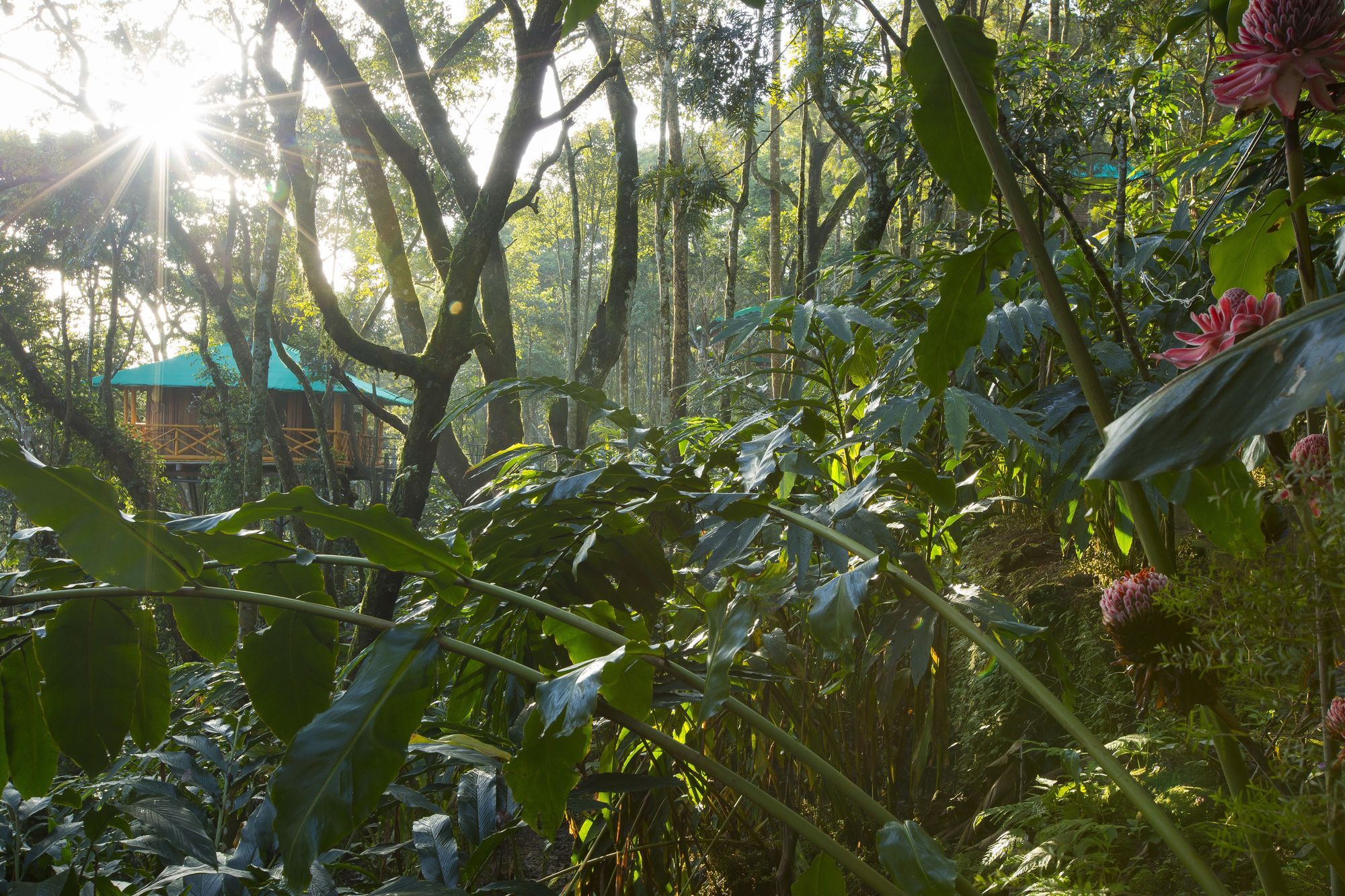Dream Catcher Plantation Resort Munnar Exterior photo