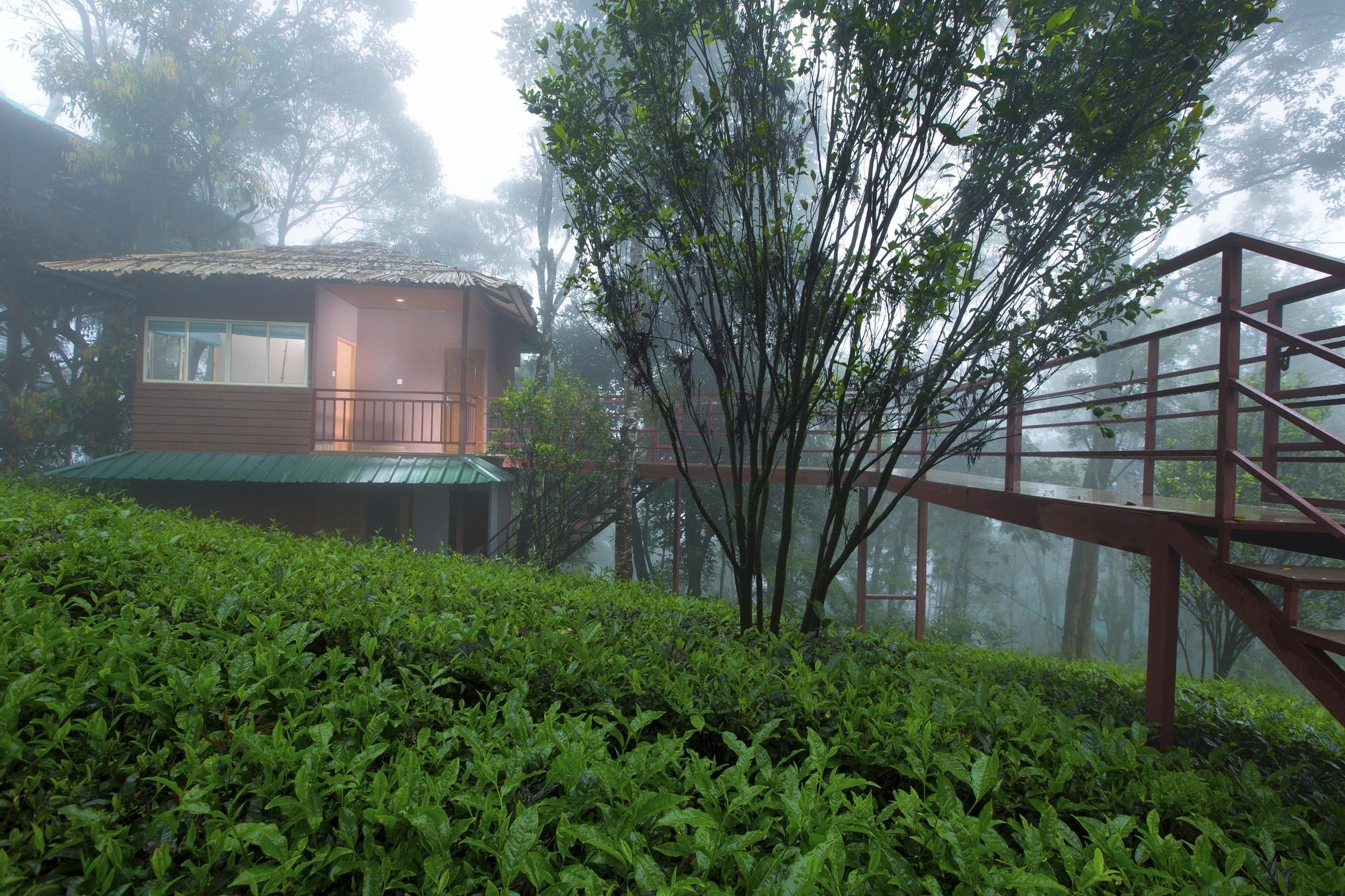 Dream Catcher Plantation Resort Munnar Exterior photo