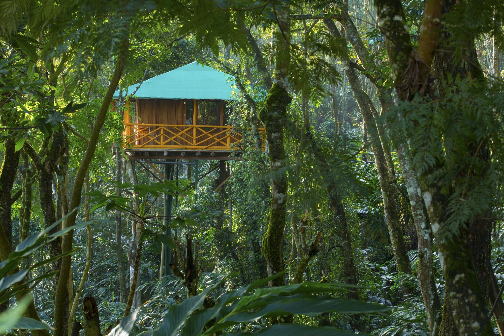 Dream Catcher Plantation Resort Munnar Exterior photo